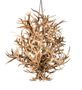 Meyda 84" Wide Antlers 16 Light Chandelier