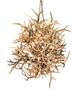 Meyda 84" Wide Antlers 16 Light Chandelier