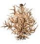Meyda 84" Wide Antlers 16 Light Chandelier