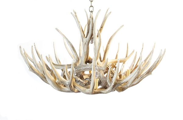 Mule Deer 12-Antler Chandelier