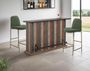 Multicolor Bar with Iron Footrest