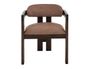 Raramuri Upholstered Arm Chair