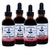 Christopher's Original Formulas, Herbal Cleansing Extract Kit, 1 Kit