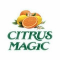 Citrus Magic, Pet Solid Air Freshener, Fresh Citrus, 20 oz