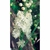 Flower Essence Services, Black Cohosh Dropper, 0.25 oz