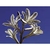 Flower Essence Services, Desert Lily Dropper, 1 oz