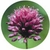 Flower Essence Services, Garlic Dropper, 0.25 oz Flower Essence Services, Garlic Dropper, 0.25 oz
