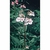 Flower Essence Services, Impatiens Dropper, 0.25 oz Flower Essence Services, Impatiens Dropper, 0.25 oz