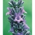 Flower Essence Services, Lavender Dropper, 1 oz Flower Essence Services, Lavender Dropper, 1 oz