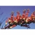Flower Essence Services, Ocotillo Dropper, 0.25 oz Flower Essence Services, Ocotillo Dropper, 0.25 oz