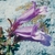 Flower Essence Services, Penstemon Dropper, 1 oz Flower Essence Services, Penstemon Dropper, 1 oz