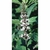 Flower Essence Services, Peppermint Dropper, 0.25 oz Flower Essence Services, Peppermint Dropper, 0.25 oz