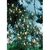 Flower Essence Services, Pine Dropper, 1 oz Flower Essence Services, Pine Dropper, 1 oz
