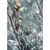 Flower Essence Services, Sagebrush Dropper, 1 oz Flower Essence Services, Sagebrush Dropper, 1 oz