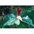Flower Essence Services, Trillium Dropper, 0.25 oz Flower Essence Services, Trillium Dropper, 0.25 oz