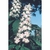 Flower Essence Services, White Chestnut Dropper, 0.25 oz Flower Essence Services, White Chestnut Dropper, 0.25 oz