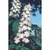 Flower Essence Services, White Chestnut Dropper, 1 oz Flower Essence Services, White Chestnut Dropper, 1 oz