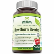 Herbal Secrets by Amazing Nutrition, Hawthorn Berries 565 mg, 120 Capsules