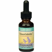 Herbs For Kids, Echinacea/GoldenRoot, Blackberry Flavor Alcohol-Free, 2 oz