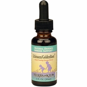 Herbs For Kids, Echinacea/GoldenRoot, Orange Flavor Alcohol-Free, 2 oz
