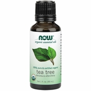 NOW Foods, Tea Tree Oil, Organic Essential Oil, 1 oz