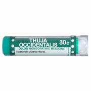 Ollois Homeopathic, Thuja Occidentalis 30c, 80 Pellets