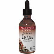 Planetary Herbals, Chaga Liquid Extract, 1 oz