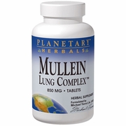 Planetary Herbals, Mullein Lung Complex, Botanical Support, 90 Tablets