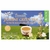 Prince of Peace, Premium Jasmine Green Tea, 100 Tea Bags