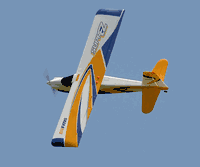 RTF 1.2M Wingspan 4 Channel Beginner RC Fixed-wing Glider RTF 1.2M Wingspan 4 Channel Beginner RC Fixed-wing Glider
