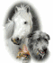Advantage Flea Control for 22 to 55lbs = 10 to 25kg 6 pack
