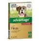 Advantage Flea Control for 22 to 55lbs = 10 to 25kg 6 pack