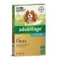 Advantage Flea Control for 9 to 22lbs = 4 to 10kg 6 Mth  pack