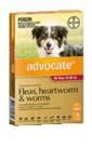 Advocate / Advantage Multi for Dogs 22 to 55lbs=