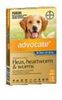 Advocate / Advantage Multi For Dogs 55 to 110lbs = 25 to 50kg 6 pack
