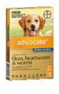 Advocate / Advantage Multi For Dogs 55 to 110lbs = 25 to 50kg 6 pack