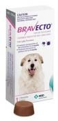 Bravecto for XL  Dogs  40 - 56 kg = 88 -123lbs - (Purple) Single Chew.