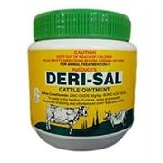 Deri-Sal 500gms