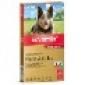 K9 Advantix Lge Dogs 22 to 55lbs = 10 to 25kg 6 pack