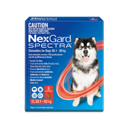 Nexgard Spectra Extra Large Dogs 30.1 to 60kg = (66 to 132 Lbs) 3 Chewable Tablet