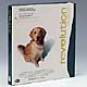 OUT OF STOCK Revolution for Large Dog 40 - 90lbs (20-40kg) 6 Month Dose Pack