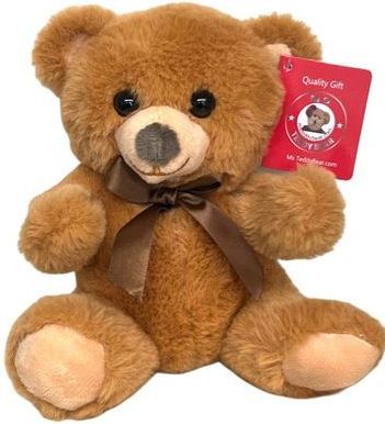 #B25- 10.5" BROWN TEDDY BEAR