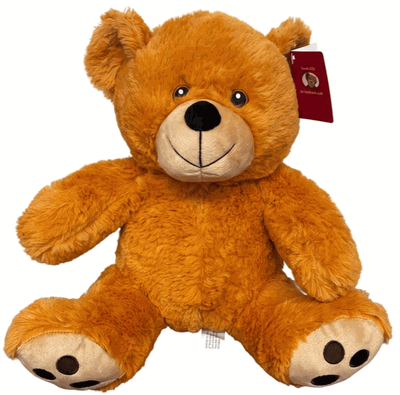 #B18- 10" Honey brown embroidery eye bear