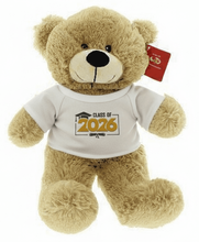 10" GRADUATION TAN PLUSH BEAR
