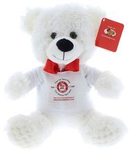 #TG63- 10" WHITE TEDDY BEAR WITH LOGO TEE
