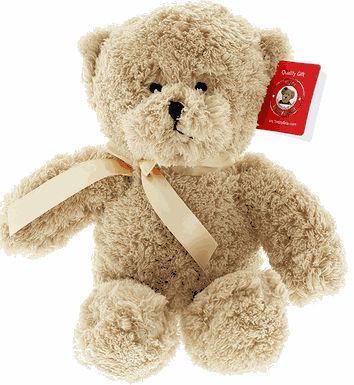 #B14- 10" EMBROIDERY EYE TEDDY BEAR 