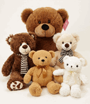 Free shipping box - Large size