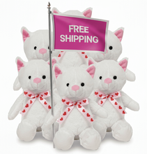 #FV17- FREE SHIPPING BOX- 15" VALENTINES CATS (14 PCS, $7.14/PC)