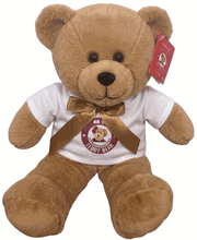 #TD21- 12" BROWN TEDDY BEAR WITH LOGO