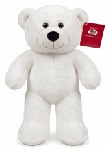 #C6- 12" CREAM EMBROIDERY EYE TEDDY BEAR